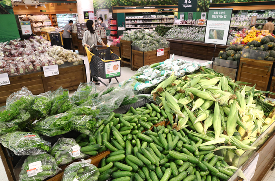 A shopper strolls around a discount mart in Seoul on Tuesday. While the overall inflation fell year-on-year in May food prices were up. Especially vegetable prices increased nearly 10 percent, increasing household burden. [YONHAP]
