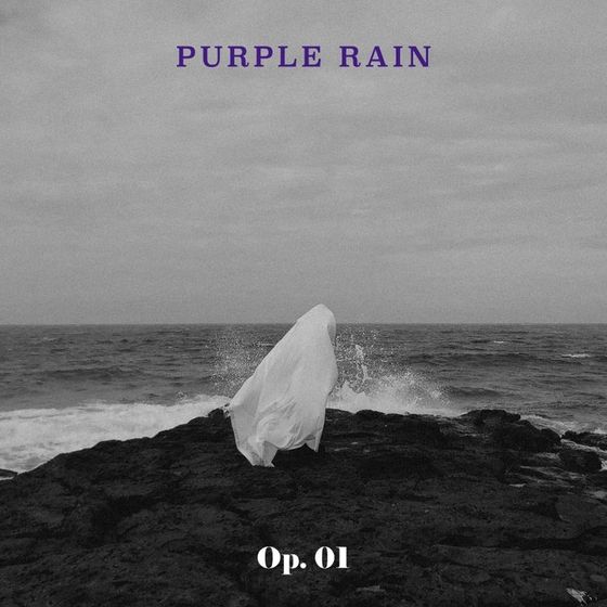 Cover image of rock band Purple Rain's EP, "Op.01." [JTBC STUDIOS]
