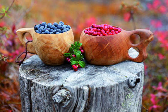 Wild berries available in the forest. [VISIT FINLAND]