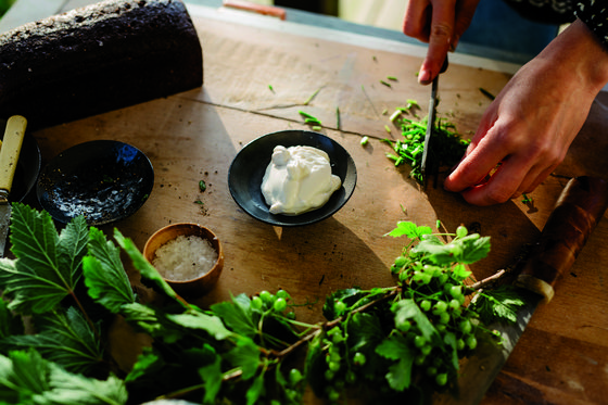 Cooking with herbs. [VISIT FINLAND]