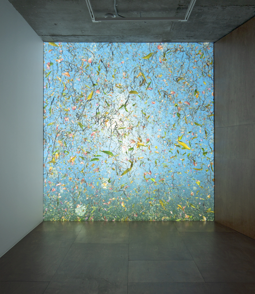  Jennifer Steinkamp's ’Primordial, 1“ (2020). [Lehmann Maupin Seoul]