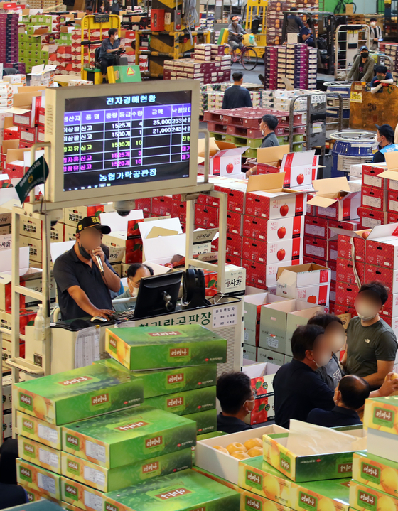 Boxes of fruits are put up for auction at the Garak-dong Agricultural & Marine Products Market in southern Seoul on Sept. 16 ahead of the Chuseok holidays. [YONHAP]