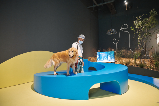 A furniture piece designed by architect Kim Kyung-jae for dogs and their human companions at the "A Museum for All, a Museum for Dogs" exhibition at MMCA Seoul. [MMCA]