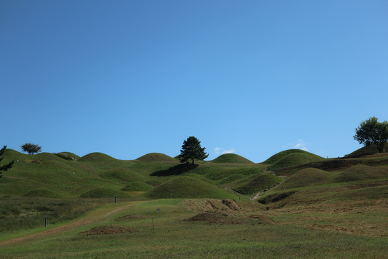 A picture of the tree in the middle of Bulno-dong's graves has gone viral online leading to many visitors to Daegu wanting to see the area for themselves. [LEE SUN-MIN]
