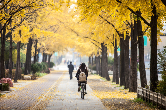 [KOREA TOURISM ORGANIZATION]