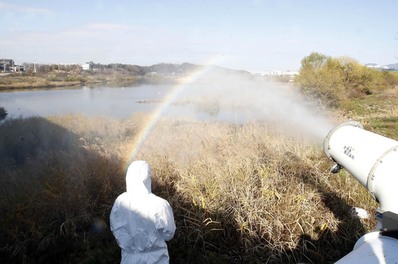 Officials from the Gwangju Buk District Office disinfect a wild bird sanctuary near the city’s Yeongsan River Monday, after the highly pathogenic avian influenza H5N8 virus was detected on a duck farm in the nearby city of Jeongeup in North Jeolla. [YONHAP]