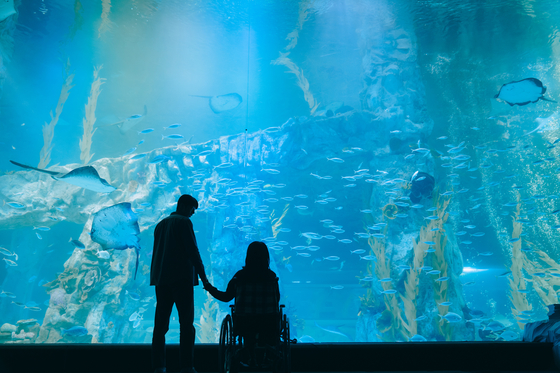 When Josee sees a beluga swimming towards them at the aquarium, she realizes that she needs to let Young-seok go. [WARNER BROS KOREA] 