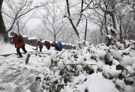 Snow covers Nam Mountain in central Seoul on Sunday as hikers trail up the mountain. [NEWS1]
