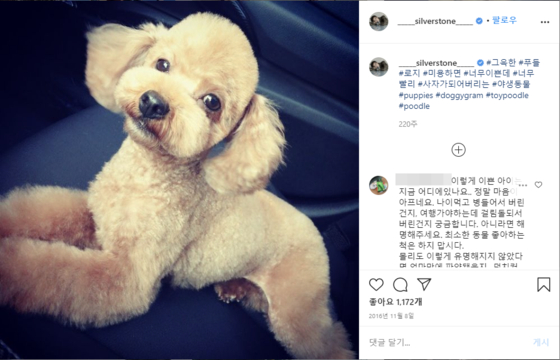 Netizens have been taking their doubts and anger to Park's Instagram, asking where his previous pets are now, including the toy poodle named Molly. [SCREEN CAPTURE] 