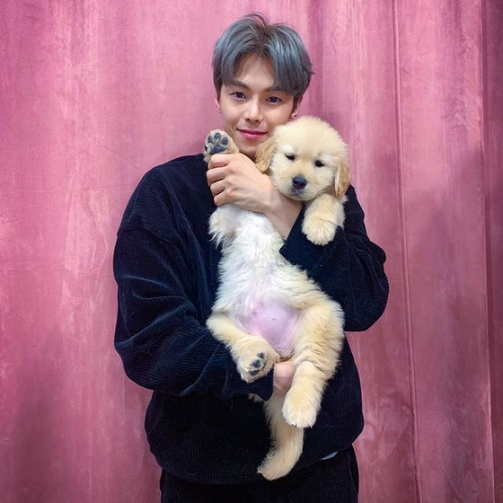 Park Eun-seok and his golden retriever Molly.  [SCREEN CAPTURE]