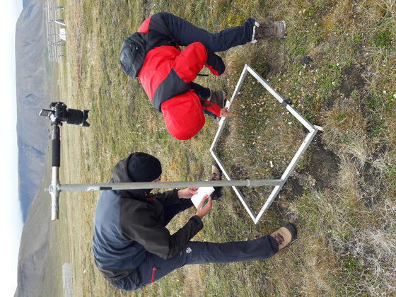 Lee Yoo-kyung, senior researcher at Korea Polar Research Institute (KOPRI) and head of the KOPRI-NPI (Norwegian Polar Institute) Cooperative Polar Research Center, working at the research site of Elisabeth Cooper of the Arctic University of Norway in Adventdalen, Svalbard, Norway. Professor Cooper has researched the impact of climate on the Arctic tundra. [LEE YOO-KYUNG]