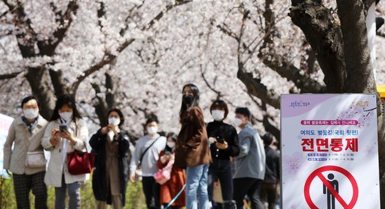A notice at the entrance to a cherry-blossom-canopied street behind the National Assembly complex in Yeouido, western Seoul, on Tuesday, inform pedestrians that they are not allowed from April 2 to April 12. The off-limit notice is a social distancing measure.  [NEWS1]