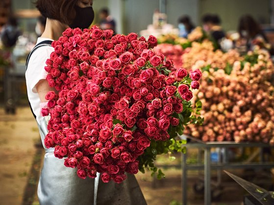 A florist prepares roses for delivery. [MARKET KURLY]