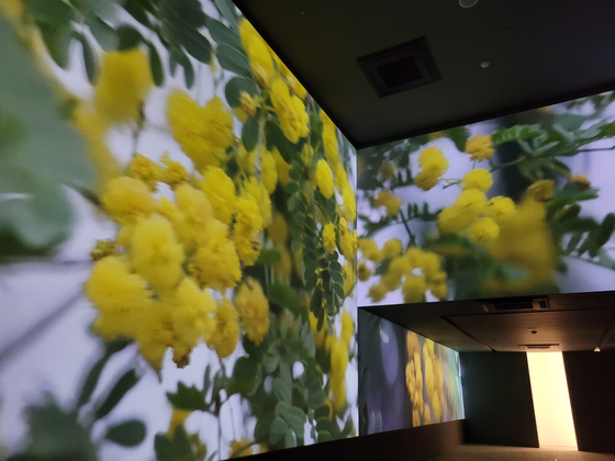 “Ways of Garden,” a new documentary by Jeong Jae-eun, who is well-known for films “Talking Architect”(2012) and “Take Care of My Cat” (2001), is now on view at Piknic, a cultural space on the slope of Mount Namsan in central Seoul. [MOON SO-YOUNG]