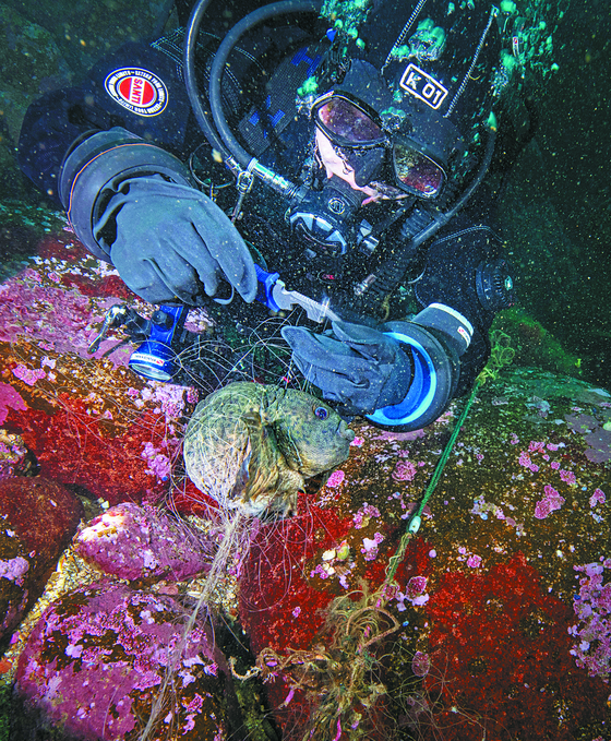 A diver cutting the net entrapping a type of cyclopteridae in the sea off the coast of Goseong County, Gangwon, in December 2020. [KIM HYE-JIN/TEAM BOOSTER]