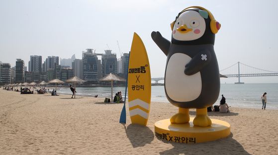 Pengsoo, the penguin, is back on the Gwangalli Beach in Busan with a mark on its arm that shows it has been vaccinated. [SONG BONG-GEUN]
