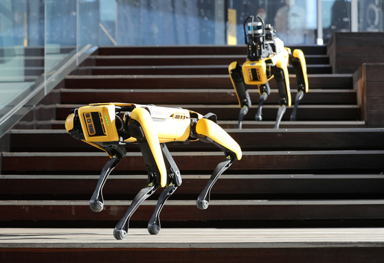 Boston Dynamics' Spot robots are demonstrated at Hyundai Motor Studio in Goyang, Gyeonggi in 2020. [NEWS1]