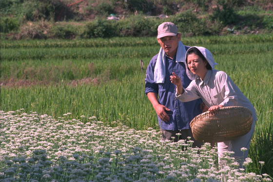 A scene from Korea's longest-running television series ″Country Diaries" (1980-2002) [MBC]