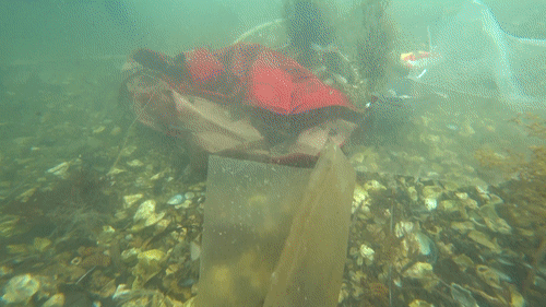 Marine debris under the waters off the coast of Tongyeong, South Gyeongsang. [CHUN KWON-PIL]