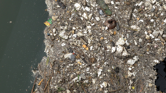 Marine debris including plastic waste collects in Gulpo Stream in Incheon. [WANG JUN-YEOL]