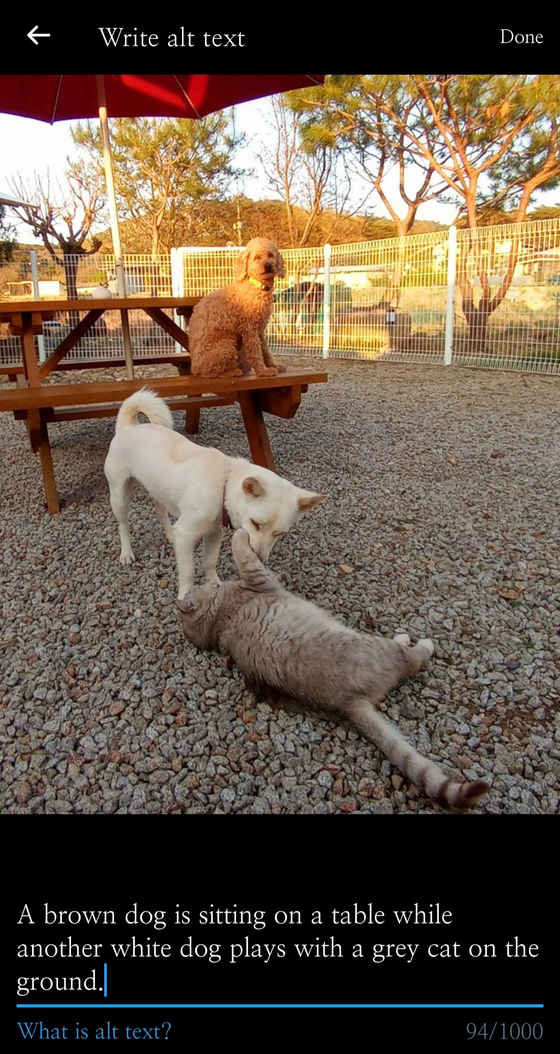 An example of a Twitter fleet with alternative text being typed in. As of now, only Twitter offers alt text for both its feed posts and fleets which disappear after 24 hours. [SCREEN CAPTURE]