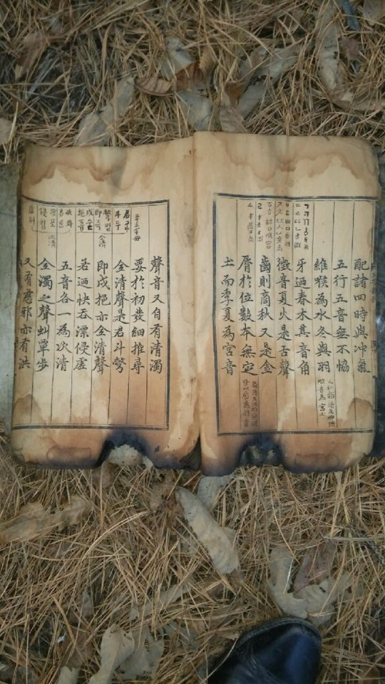 "Hunminjeongeum" Haerye that Bae Ik-gi holds hostage of was partially destroyed in fire in 2015. [BAE IK-GI]