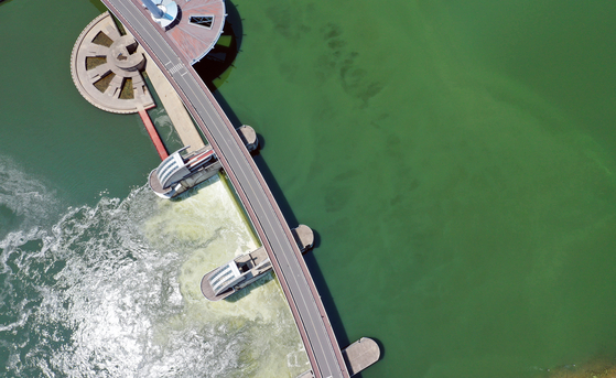 A Nakdong River's dammed reservoir located between Dalseong District in Daegu and Goryeong County in North Gyeongsang oozes a green, thick substance on Wednesday. The reservoir has been put under the "caution level" of a green algae alert by the Ministry of Environment since last month. [YONHAP]