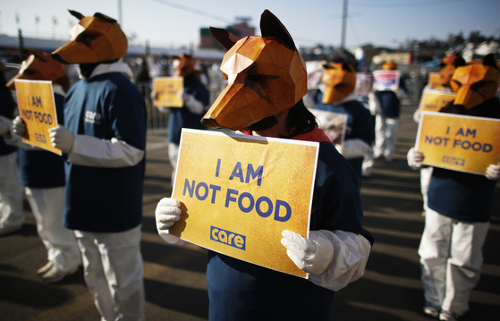 Animal-rights activists stage a protest against the consumption of dog meat near the Pyeongchang Olympic Stadium a few hours before the closing ceremony of the PyeongChang 2018 Olympic Games on Feb. 25, 2018. [EPA/DIEGO AZUBEL/YONHAP]