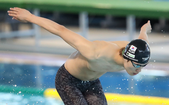 Hwang Sun-woo dives at the start of the men's 2x400-meter freestyle relay race at the National Sports Festival at Gimcheon Indoor Swimming Pool in Gimcheon, North Gyeonsang on Thursday. The Seoul team won with a record of 3:43.07. This is Hwang's fifth gold medal at the National Sports Festival, alongside the 50 meter freestyle, the 200-meter and 800-meter individual medley and the 800-meter relay titles. [NEWS1]