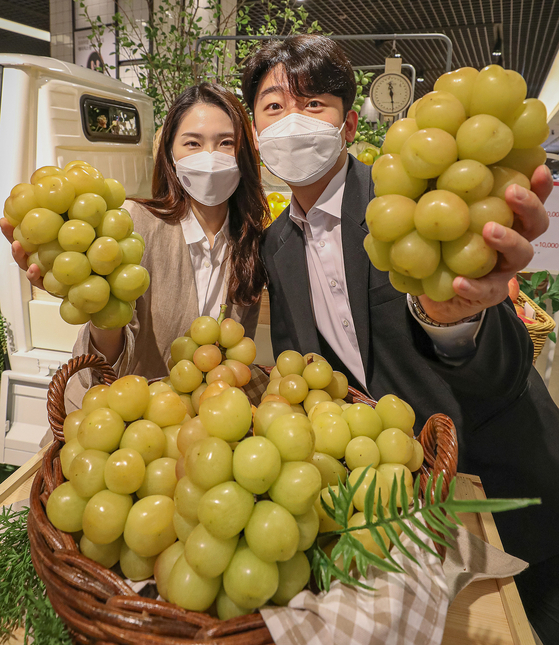 Models pose with daehwangok grapes, a variety known to be big and sweet, which will be offered at 16 Hyundai Department Store branches through Oct. 31, with a price ranging from 85,000 won ($72) to 90,000 won. [YONHAP] 