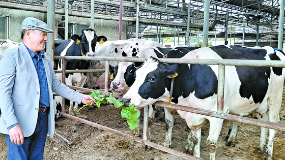 A farmer in Namyangju, Gyeonggi, who plans to donate his cows to Nepal, underscores the persistent technical support for the Nepalese until all related systems are established there. [JOONGANG PHOTO]