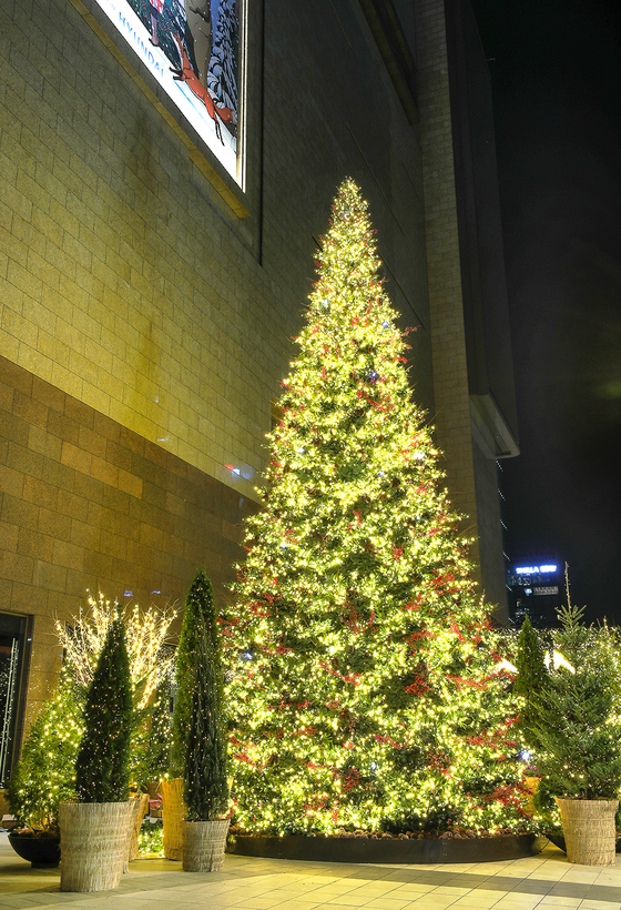 A Christmas tree is lit up in front of the Hyundai Department Store branch at Coex in Gangnam District, southern Seoul, on Thursday. Starting Thursday, the large space in front of the department store will be decorated with 120 trees and a festively decorated cabin in celebration of Christmas. [YONHAP] 