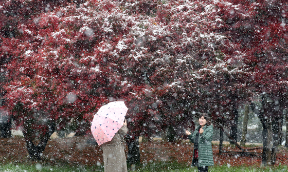 Tourists take photos on Mount Chiak in Wonju, Gangwon, on Tuesday, which saw the first snowfall of the season. [NEWS1]