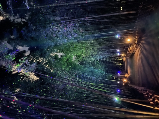 The bamboo forest in Taehwagang National Garden in Ulsan is lit with small LED-lights to create a dreamlike ambience for nighttime visitors. [LEE SUN-MIN]