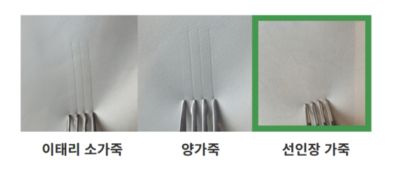 Wicked Lover used a fork to show how cactus leather, right, is more resistant to scratches compared to actual leather, like cowhide, far left, sheepskin, middle. [WICKED LOVER]