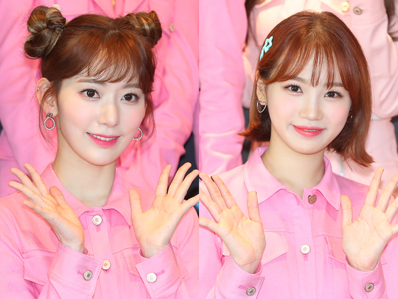 Former members Miyawaki Sakura, left, and Kim Chaewon of girl group IZ*ONE [ILGAN SPORTS]