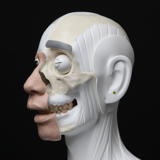 ″Face Trace 003″ (2012) has Hyungkoo Lee's own deconstructed facial features plastered onto a portrait bust. [BUSAN MUSEUM OF ART]