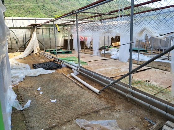 Beagle Rescue Network’s Pocheon Shelter in Gyeonggi, formerly known as Aerinwon Animal Shelter, gets ready to vacate by May 31. [YIM SEUNG-HYE]