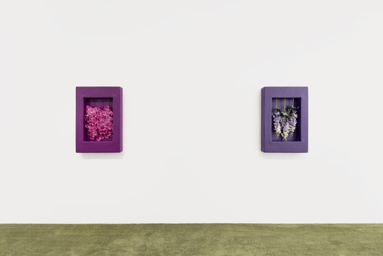 Artist Anicka Yi's works ″Two Nervous Systems In A Room″(2022) and ″Self Reliance vs Loneliness″(2022) as part of her solo show ″Begin Where You Are″ at Gladstone Seoul in Gangnam district, southern Seoul. [GLADSTONE]