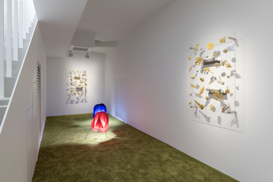 Artist Anicka Yi's ″Slippage Between Law and Art″(2022) and ″One Bright Pearl″(2022) are on the floor while her ″Late Classical″ series hanging on the walls at Gladstone Seoul in Gangnam district, southern Seoul. [GLADSTONE]