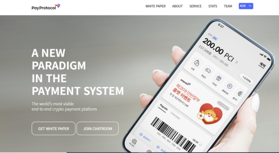 A screen capture of Pay Protocol website [SCREEN CAPTURE] 