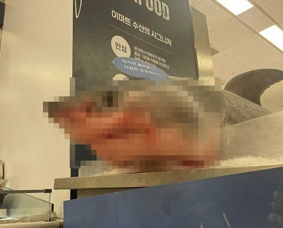 A photo zone displaying a shark carcass at E-Mart's Yongsan branch in central Seoul, Sunday. [SCREEN CAPTURE]
