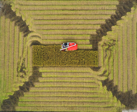 A farmer drives a harvesting truck at a rice paddy at the Gangwon-do Agricultural Research & Extensions Services in Chuncheon, Gangwon, on Thursday. [YONHAP]