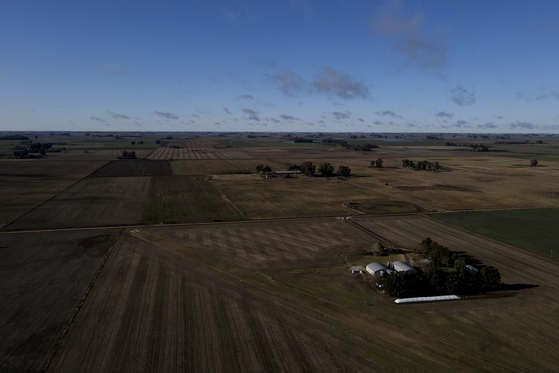 A view of a soybean farm in Bragado, Argentina in this file photo dated July 28. [AP/YONHAP] 