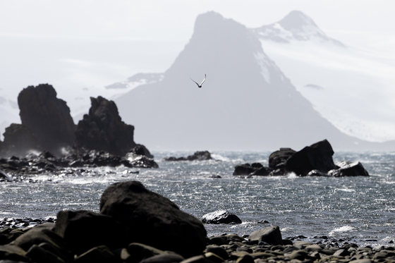 The coast of Fildes Bay, in Rey Jorge Island, Chilean Antarctic territory, on Dec. 16, 2021. King George Island, located at the northern end of the white continent, is the largest of the South Shetland Islands, and serves as an entry point to Antarctica, which is why it is one of the places with the highest concentration of bases, with the presence of countries such as Chile, Russia, China, South Korea, Argentina, Uruguay, Poland, Germany, Peru, Brazil and the United States. [EPA/YONHAP]