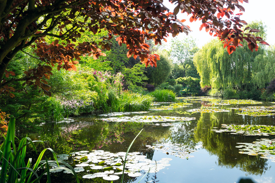 Monet's garden in Giverny. [ERIC SANDER]