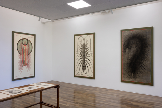 Artist Park Wung-gyu's three-piece ″Dummy No. 60, 61, 62″ (2021) [ILMIN MUSEUM OF ART]