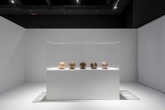 ″Vanitas″ (2019) [LOTTE MUSEUM OF ART]