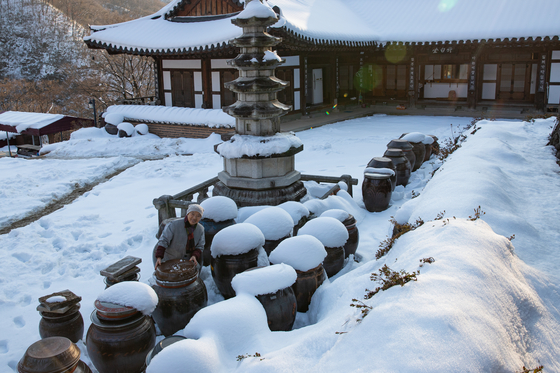 Monk Jeong Kwan resides in Chunjinam Hermitage in Baekyang Temple, located in South Jeolla. [JOONGANG ILBO]
