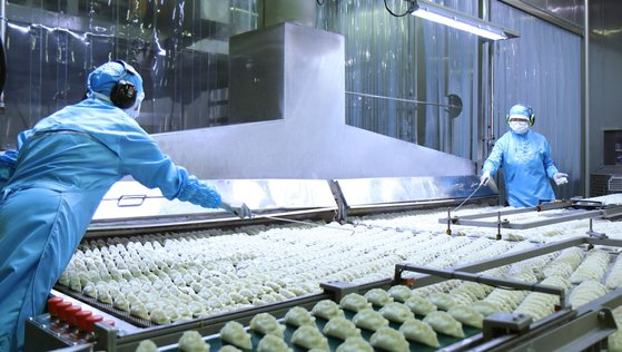 Employees are checking the dumplings made at CJ CheilJedang’s Incheon complex on Feb. 15. [BAEK IL-HYUN]